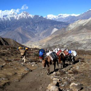 jomsom trek