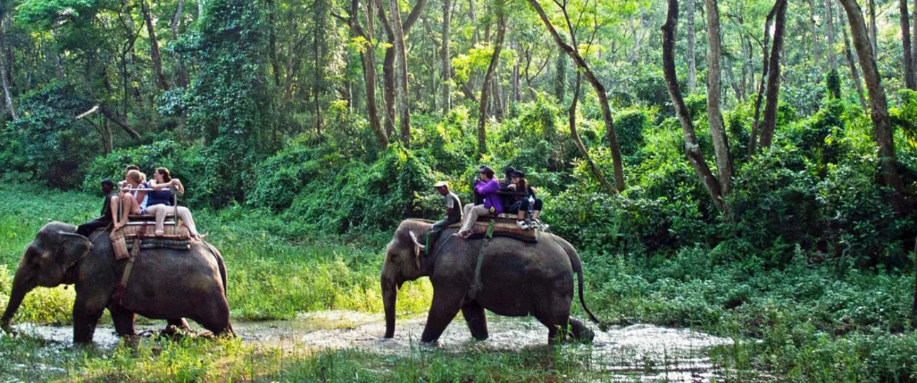 jungle safari in Nepal