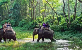 jungle safari in Nepal